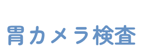 定期的に受信したい！胃カメラ検査